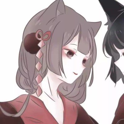马来西亚“社牛”蜥蜴走红